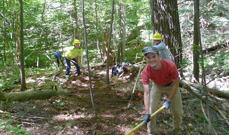Volunteer Trail Building at Madam Brett Park