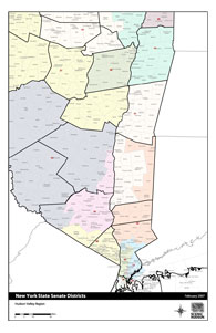 NY State Senate Map