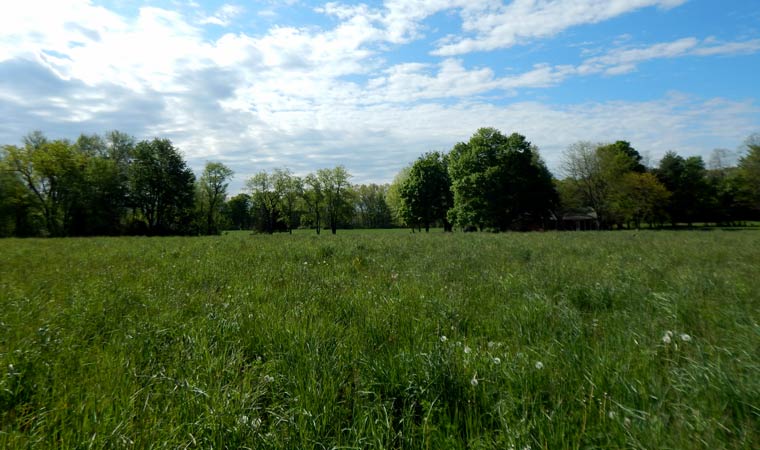 New conserved farmland Newly conserved farmland