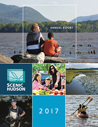 2017 Annual Report Cover 2017 Annual Report Cover