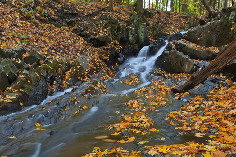Waterfall at Falling Waters Preserve Waterfall at Falling Waters Preserve