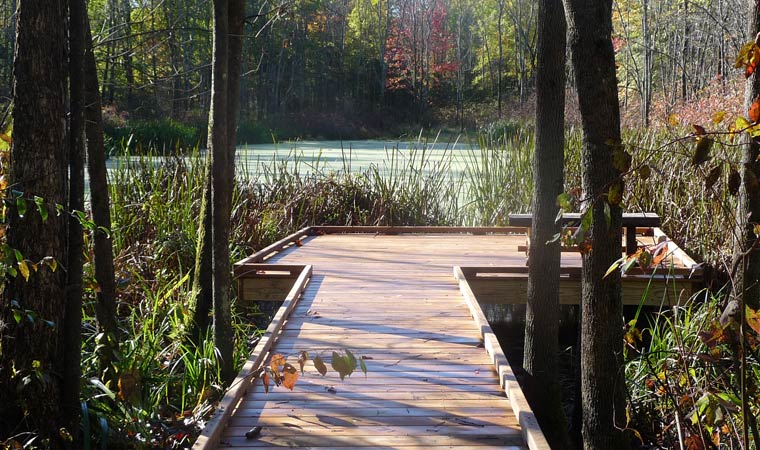 Marsh viewing platform at Four-Mile Point Marsh viewing platform at Four-Mile Point