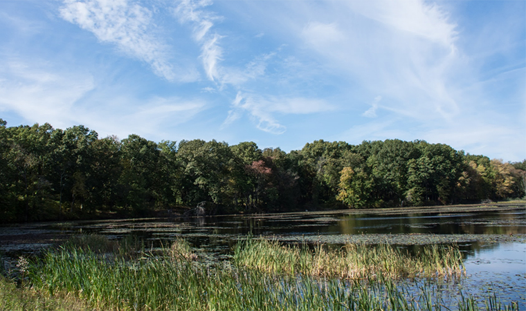 Lake Walton Lake Walton