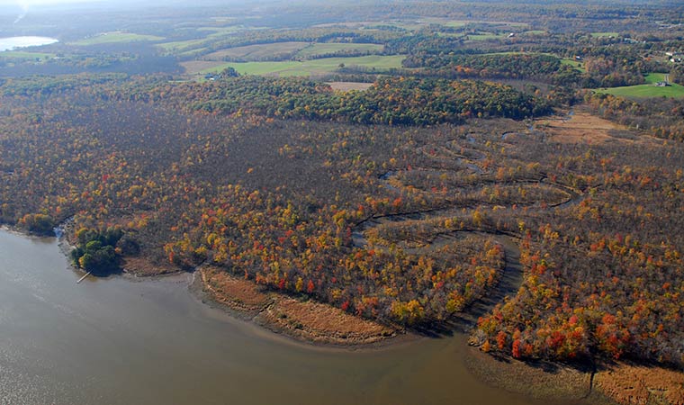 Rams-Horn Marsh from the Air Rams-Horn Marsh from the Air
