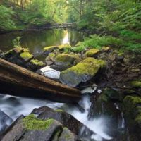 Black Creek Corridor - Esopus Ulster County