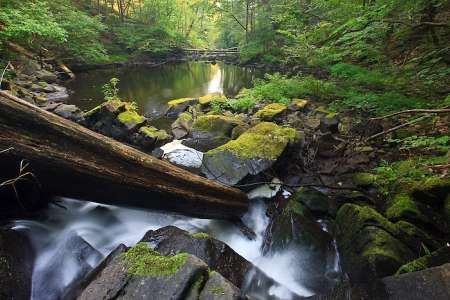 Black Creek Corridor - Esopus Ulster County