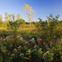 Stottville Farmlands