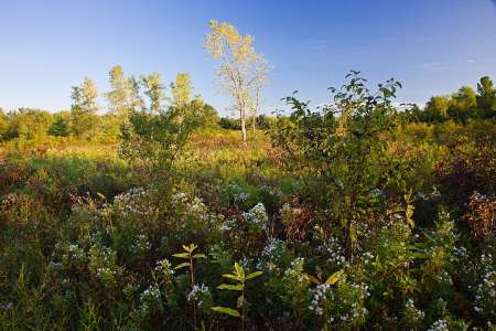 Stottville Farmlands