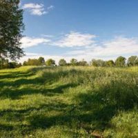 Red Hook Farmland