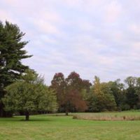 University Settlement Camp