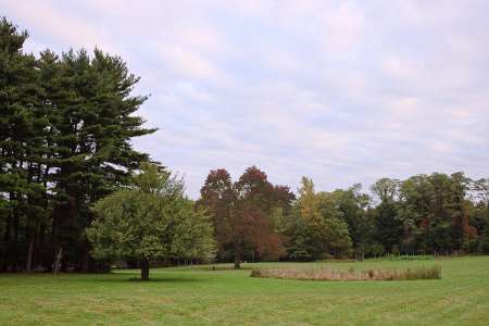 University Settlement Camp