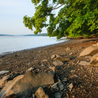 Esopus Meadows