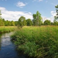 Black Creek Corridor