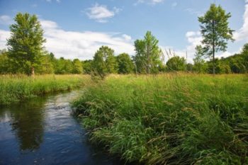 Black Creek Corridor