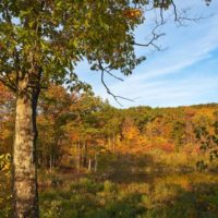 Illinois Mountain
