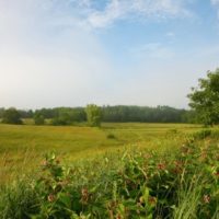 Nuttenhook Farm