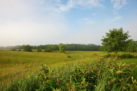 Nuttenhook Farm