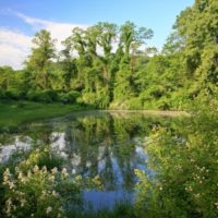 Shaupeneak Meadows