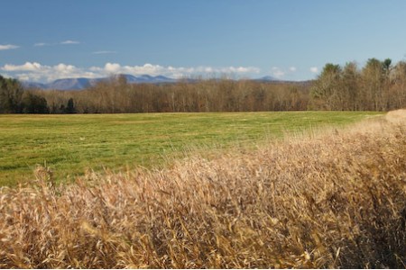 Stuyvesant Farms