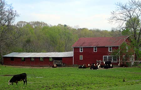 McKeon Farm