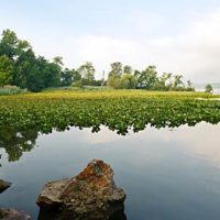 Olana Viewshed