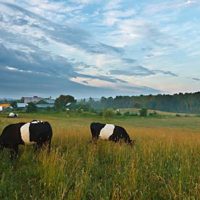 Pleroma Farm