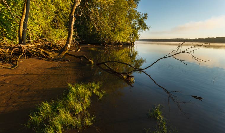 Bronck Island Otter Hook Farm
