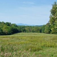 South Bay Watershed