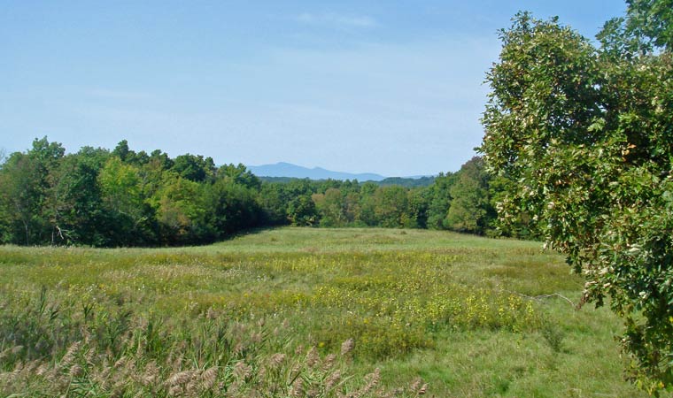 South Bay Watershed