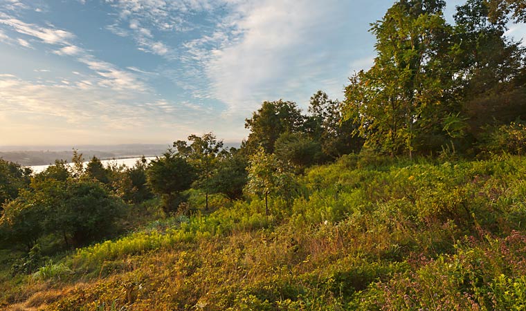 High Banks Preserve