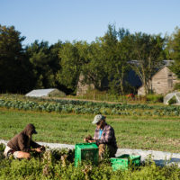 Laughing Earth Farm