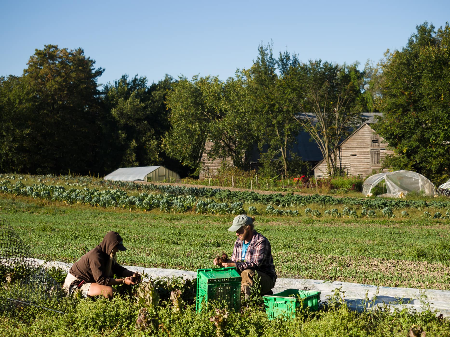 Laughing Earth Farm