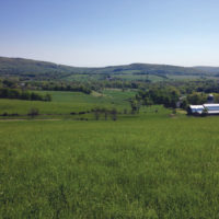 Duncandale Farm