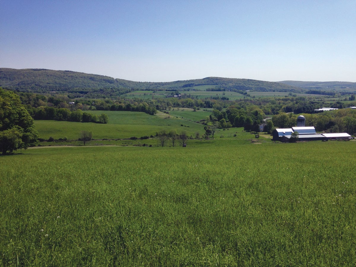 Duncandale Farm