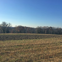 Nemeth Farm