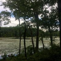 Lake Walton
