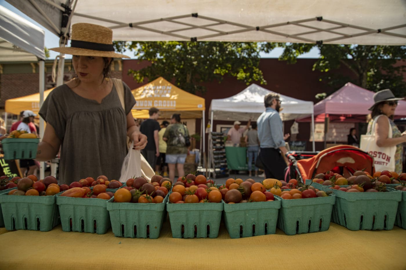 Kingston Farmers Market