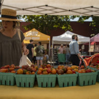 Kingston Farmers Market
