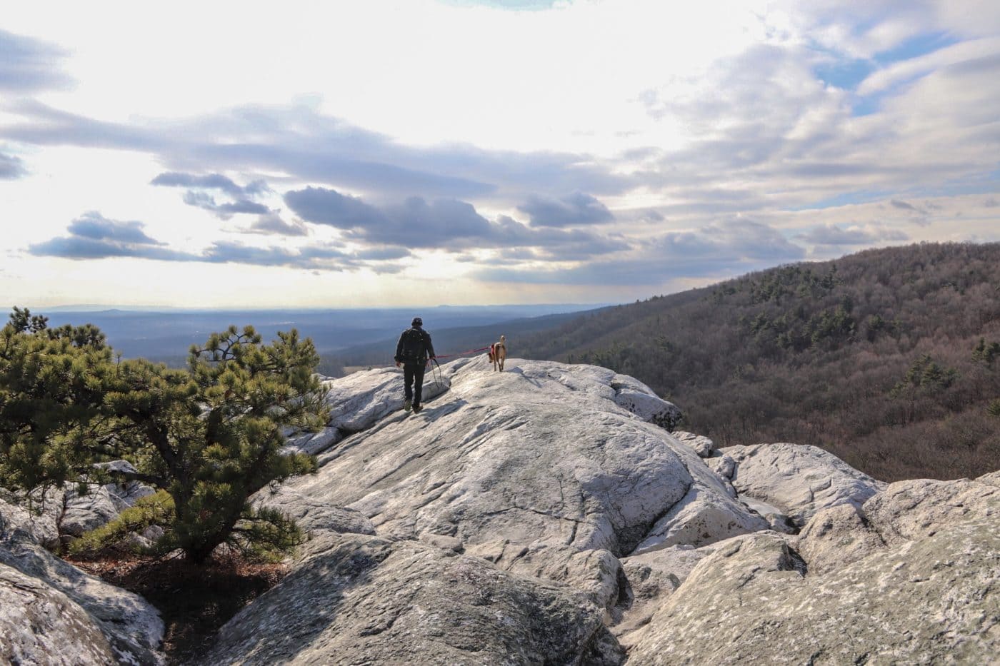 Bonticou Crag