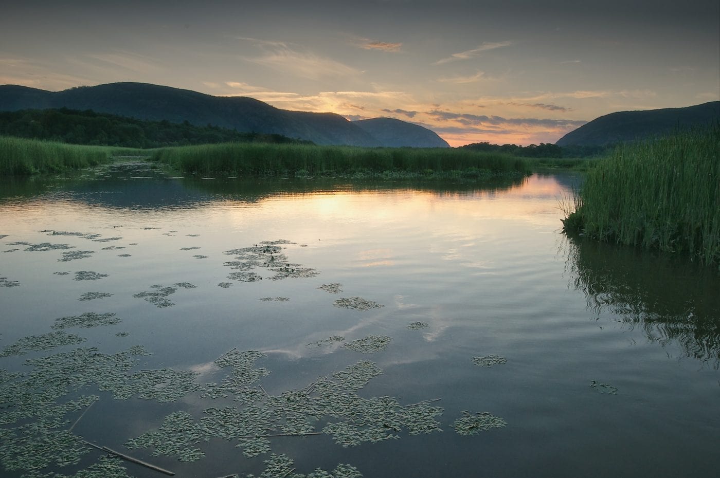 Constitution Marsh