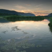 Constitution Marsh