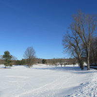 Dinsmore Golf Course