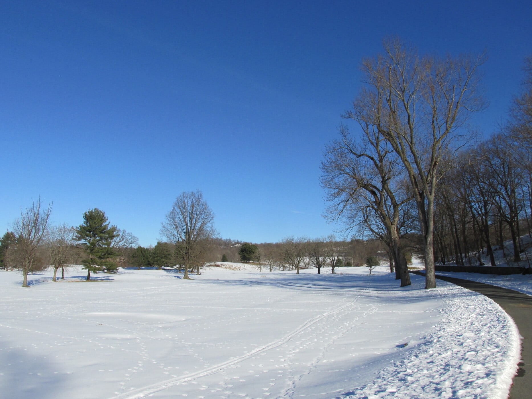 Dinsmore Golf Club Scenic Hudson