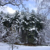 Ward Pound Ridge