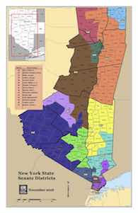 NY Senate District Map