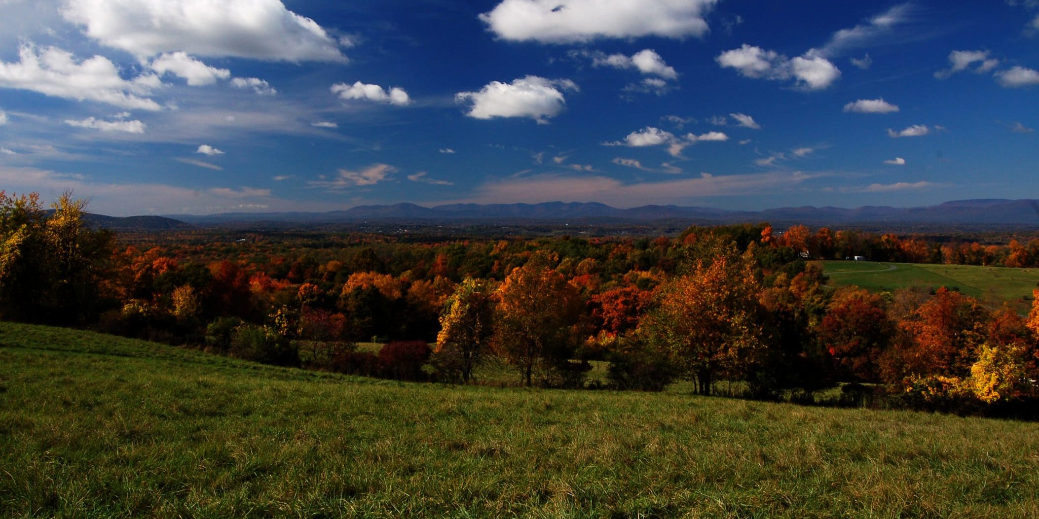 Burger Hill (Photo: Zach Johnson)