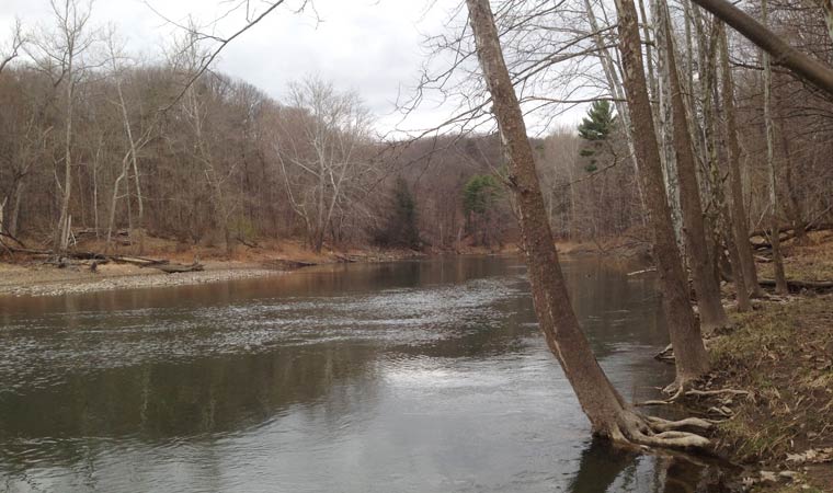 Catskill Creek