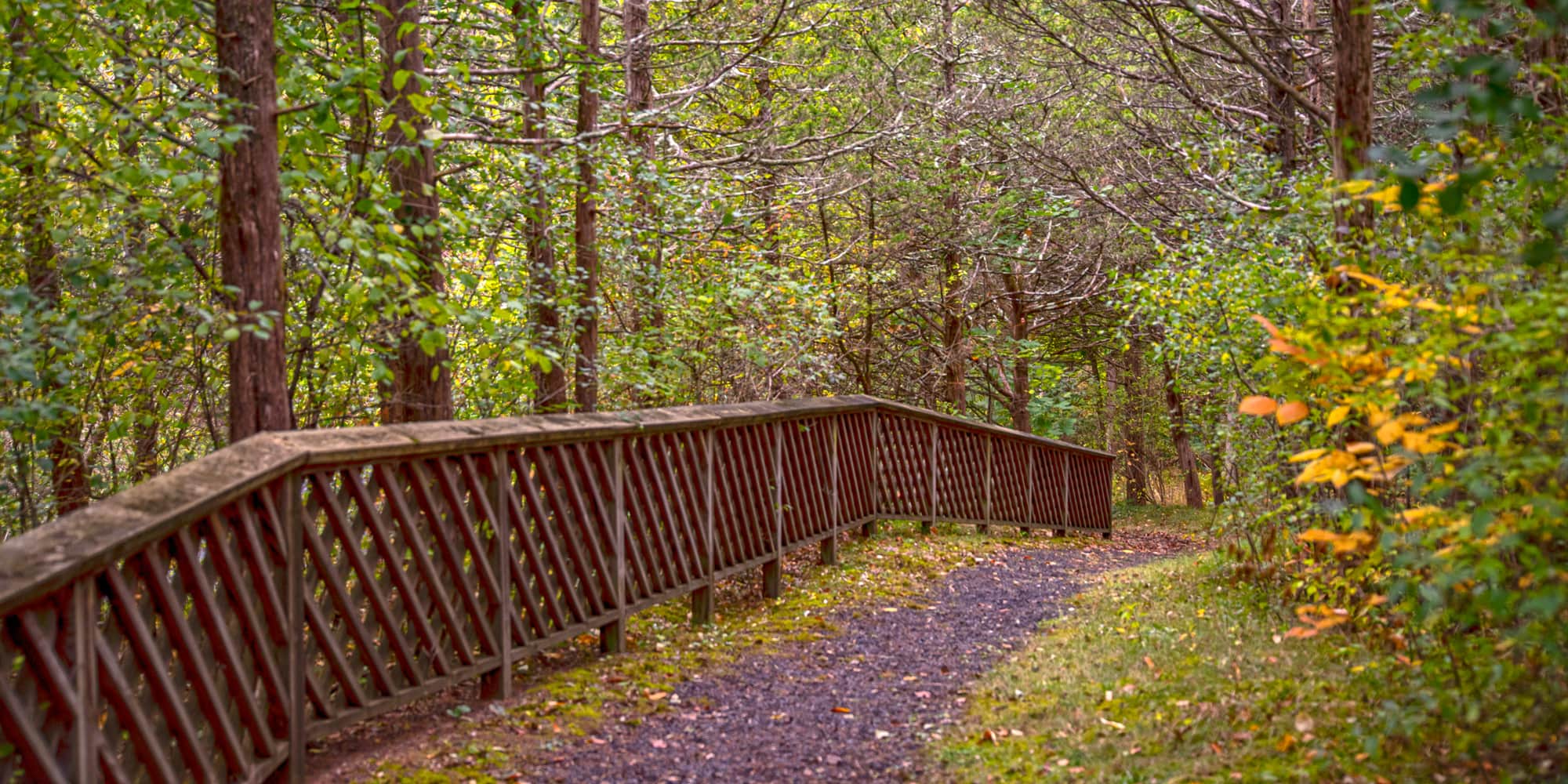 Four-Mile Point Preserve