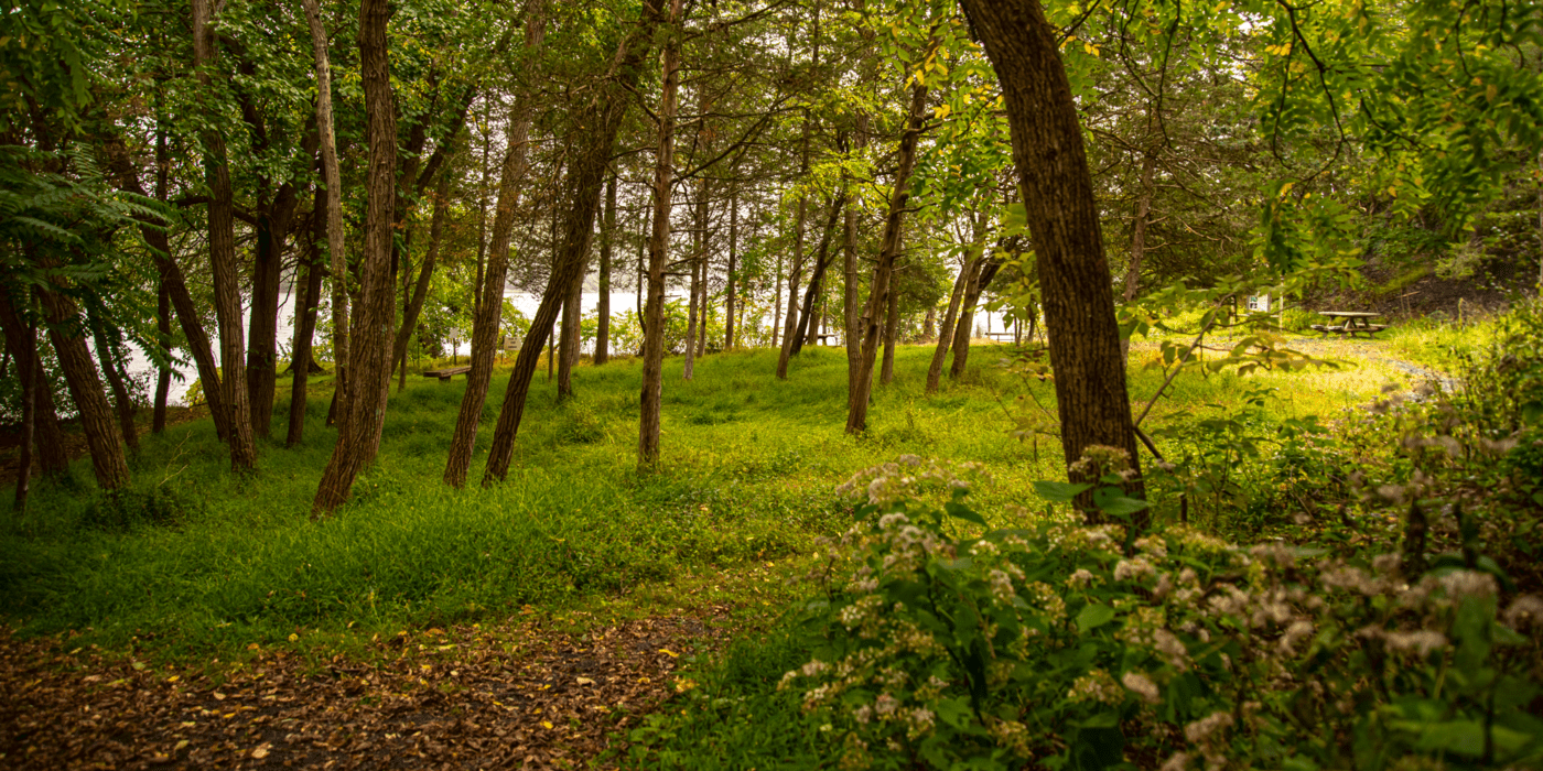 Four-Mile Point Preserve