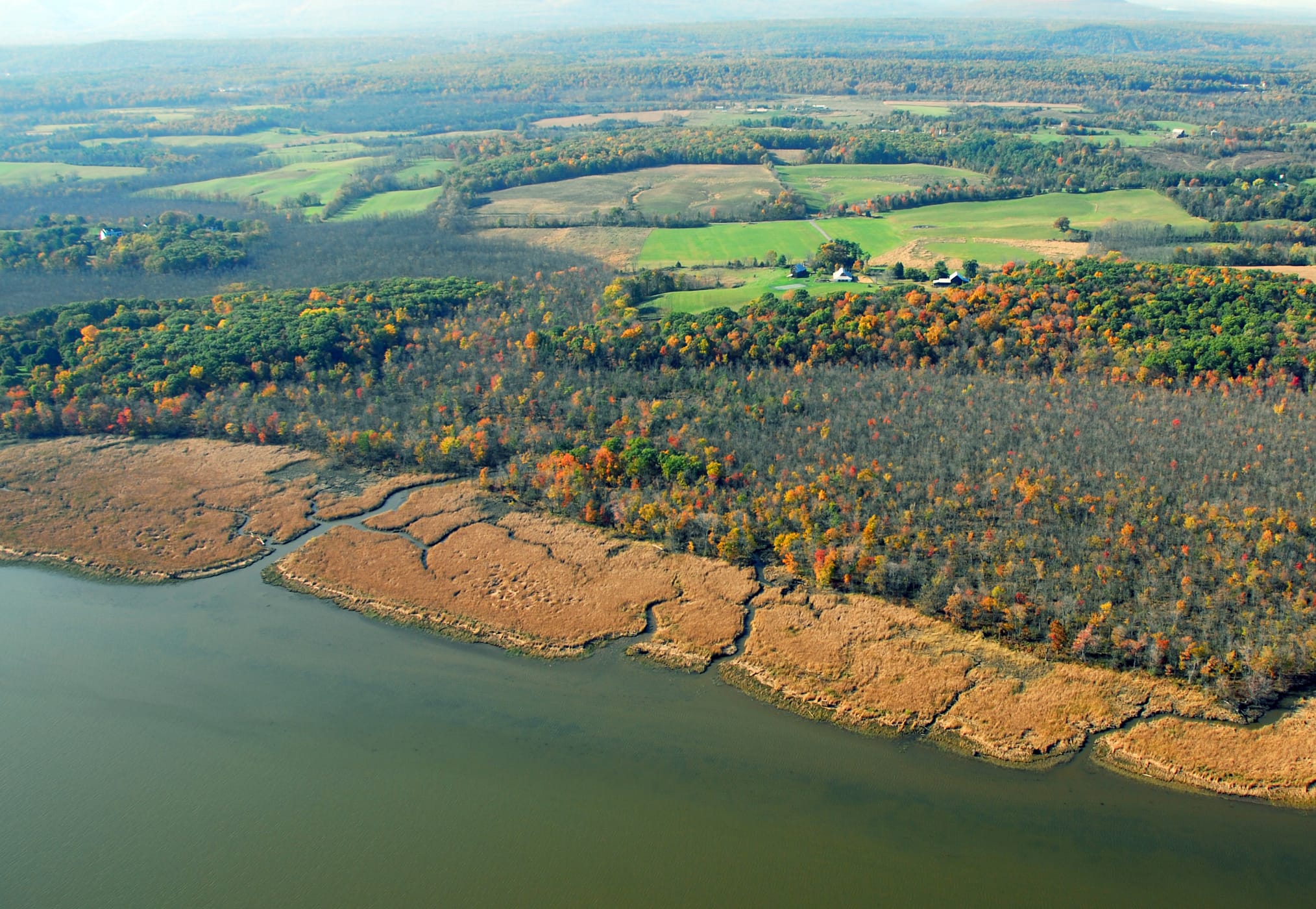 Tidal Wetlands (Photo: Jeff Anzevino)